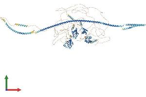 Protein Structure (PS) image for Cut-Like Homeobox 1 (CUX1) (AA 1-1515) protein (His tag) (ABIN7563430)