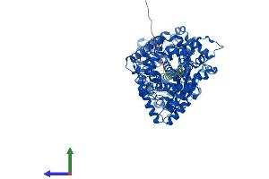 Protein Structure (PS) image for Phosphate Regulating Endopeptidase Homolog, X-Linked (PHEX) (AA 1-749) protein (His tag) (ABIN7550771)