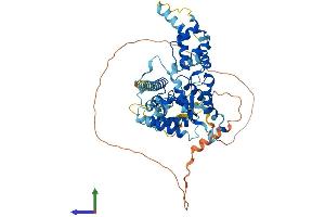 Protein Structure (PS) image for Katanin P60 Subunit A-Like 2 (KATNAL2) (AA 1-539) protein (His tag) (ABIN7560955)