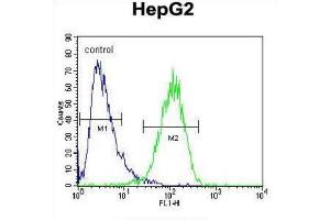 Flow Cytometry (FACS) image for anti-Hexosaminidase A (HEXA) antibody (ABIN3002900) (Hexosaminidase A Antikörper)