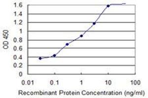 Detection limit for recombinant GST tagged ATP5E is 0. (ATP5E Antikörper  (AA 1-51))