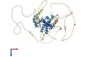 NR1D1 Protein (AA 1-614) (His tag)