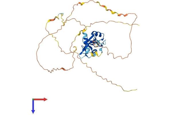 SH2D2A Protein (AA 1-374) (His tag)