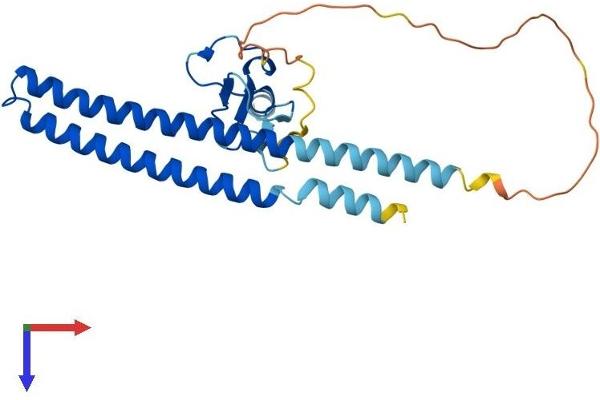 ING5 Protein (AA 1-240) (His tag)