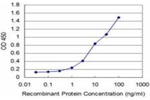 Detection limit for recombinant GST tagged HOXA5 is approximately 0. (HOXA5 Antikörper  (AA 171-270))