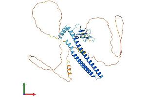 Protein Structure (PS) image for Inhibitor of Growth Family, Member 3 (ING3) (AA 1-418) protein (His tag) (ABIN7554174)