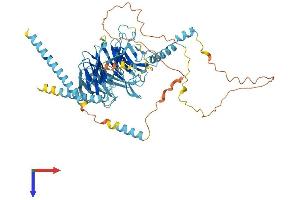 DYNC1I1 Protein (AA 1-628) (His tag)