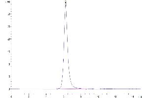 The purity of Human FGFR4 is greater than 95 % as determined by SEC-HPLC. (FGFR4 Protein (AA 22-369) (His-Avi Tag))