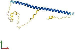Protein Structure (PS) image for Jun Dimerization Protein 2 (JDP2) (AA 1-163) protein (His tag) (ABIN7548672)