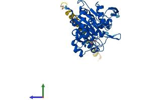Protein Structure (PS) image for MFNG (MFNG) (AA 1-321) protein (His tag) (ABIN7562236)