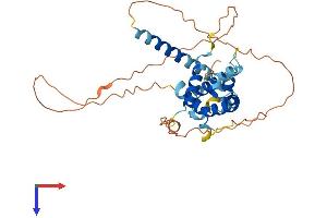 BCL2L14 Protein (AA 1-327) (His tag)