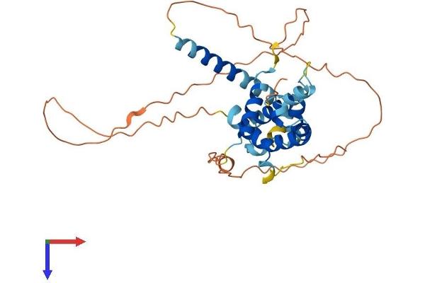 BCL2L14 Protein (AA 1-327) (His tag)