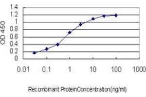 Detection limit for recombinant GST tagged ACAA2 is approximately 0. (ACAA2 Antikörper  (AA 151-260))