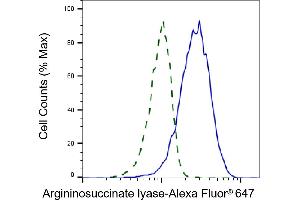 Validation of Argininosuccinate lyase knockdown using flow cytometry. (ASL Antikörper)