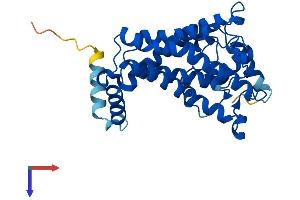 SC4MOL Protein (AA 1-293) (His tag)
