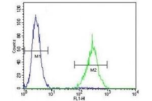 SOX1 antibody flow cytometric analysis of NCI-H460 cells (right histogram) compared to a negative control (left histogram). (SOX1 Antikörper  (AA 47-76))