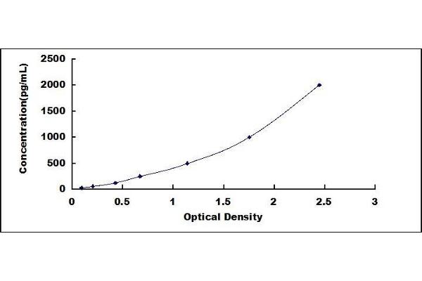 HMGB1 ELISA Kit