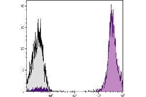 Human peripheral blood lymphocytes were stained with Mouse Anti-Human CD45-APC. (CD45 Antikörper)