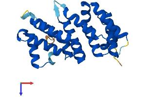 MIF4GD Protein (AA 1-222) (His tag)
