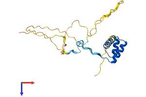 GSC2 Protein (AA 1-205) (His tag)