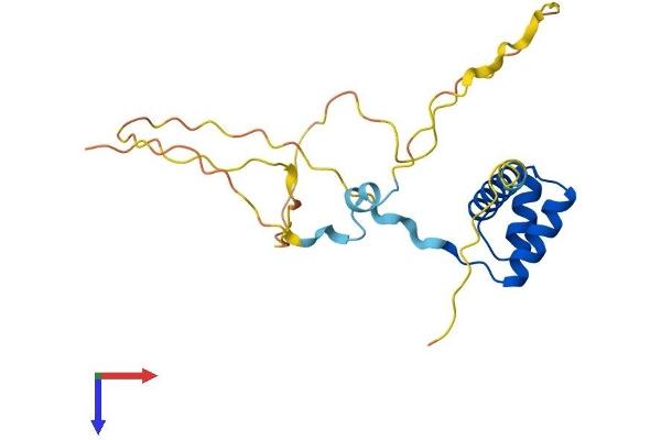 GSC2 Protein (AA 1-205) (His tag)