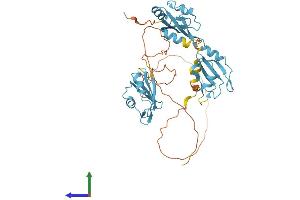 Protein Structure (PS) image for Heterogeneous Nuclear Ribonucleoprotein F (HNRNPF) (AA 1-415) protein (His tag) (ABIN7556451)