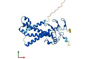 AlphaFold protein structure predicition of Human Recombinant ZDHHC24 Protein, UniprotID Q6UX98