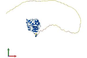 Protein Structure (PS) image for Acidic (Leucine-Rich) Nuclear phosphoprotein 32 Family, Member A (ANP32A) (AA 1-247) protein (His tag) (ABIN7562309)