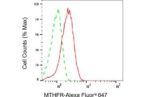 Flow cytometric analysis of MTHFR expression in HeLa cells using MTHFR antibody (ABIN7799391), 1:2,000). (Rekombinanter MTHFR Antikörper)