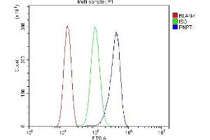 Flow Cytometry analysis of THP-1 cells using anti-PNPT1 antibody (ABIN7599172). (PNPT1 Antikörper  (AA 1-257))