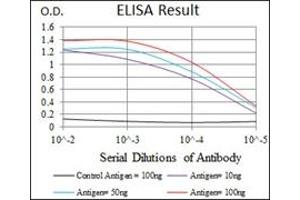 ELISA image for anti-Heat Shock Transcription Factor 4 (HSF4) antibody (ABIN1107497) (HSF4 Antikörper)