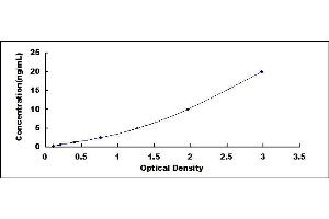 Typical standard curve (HMOX1 ELISA Kit)