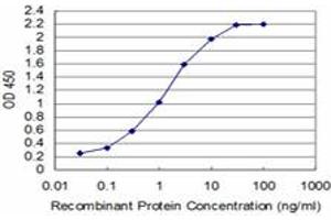 Detection limit for recombinant GST tagged T is approximately 0. (T Brachyury Protein (AA 222-320) Antikörper)