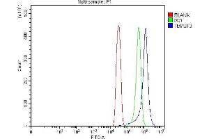Flow Cytometry analysis of SiHa cells using anti-TM7SF3 antibody (ABIN7599641). (TM7SF3 Antikörper  (AA 102-544))