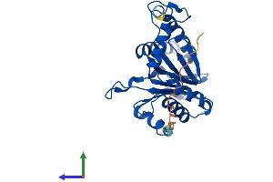 Protein Structure (PS) image for Proteasome Subunit alpha Type 1 (PSMA1) (AA 1-263) protein (His tag) (ABIN7556220)