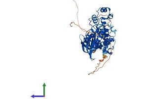 Protein Structure (PS) image for Mitogen-Activated Protein Kinase 10 (MAPK10) (AA 1-464) protein (His tag) (ABIN7554583)