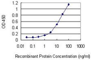 Detection limit for recombinant GST tagged PARD3 is 0. (PARD3 Antikörper  (AA 181-290))