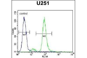 ZIK1 Antibody (Center) (ABIN654536 and ABIN2844254) flow cytometric analysis of  cells (right histogram) compared to a negative control cell (left histogram). (ZIK1 Antikörper  (AA 186-215))