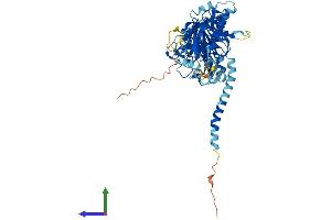 Protein Structure (PS) image for Diacylglycerol Kinase, epsilon 64kDa (DGKE) (AA 1-564) protein (His tag) (ABIN7556213)