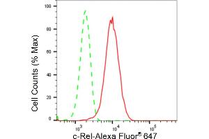 Flow cytometric analysis of c-Rel expression in HepG2 cells using c-Rel antibody (ABIN7800166), 1:2,000). (Rekombinanter c-Rel Antikörper)