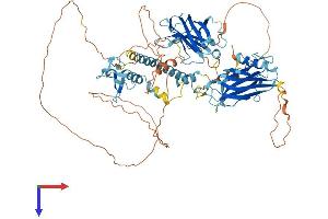 Protein Structure (PS) image for Synaptotagmin-Like 5 (SYTL5) (AA 1-730) protein (His tag) (ABIN7544074)
