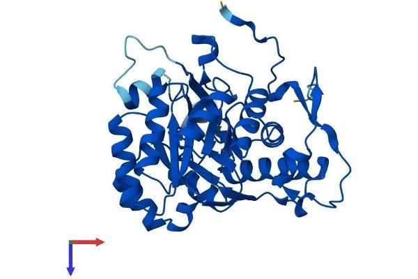 GMPR Protein (AA 1-345) (His tag)