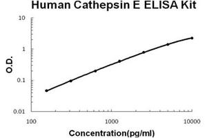 Human Cathepsin E PicoKine ELISA Kit standard curve