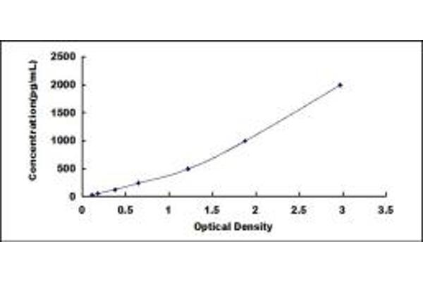 FRZB ELISA Kit