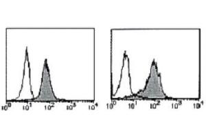 Flow Cytometry (FACS) image for anti-B-Cell CLL/lymphoma 2 (BCL2) antibody (PE) (ABIN2853587) (Bcl-2 Antikörper  (PE))