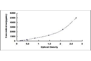 Typical standard curve (QSOX1 ELISA Kit)