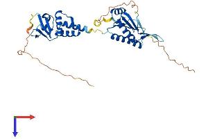 KCTD13 Protein (AA 1-329) (His tag)