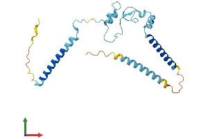 Protein Structure (PS) image for Retinitis Pigmentosa 9 (Autosomal Dominant) (RP9) (AA 1-221) protein (His tag) (ABIN7551542)