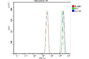 Flow Cytometry analysis of SiHa cells using anti-EEF2K antibody (ABIN7600209).