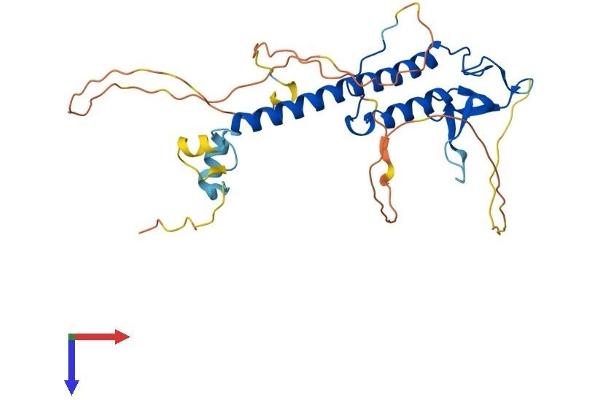 RPH3AL Protein (AA 1-315) (His tag)